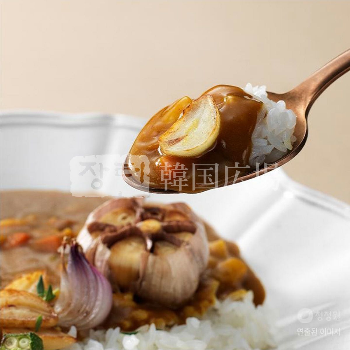 【清浄園】カレ-の女王(ロ-ストガ-リック&オニオン)108g / 16入