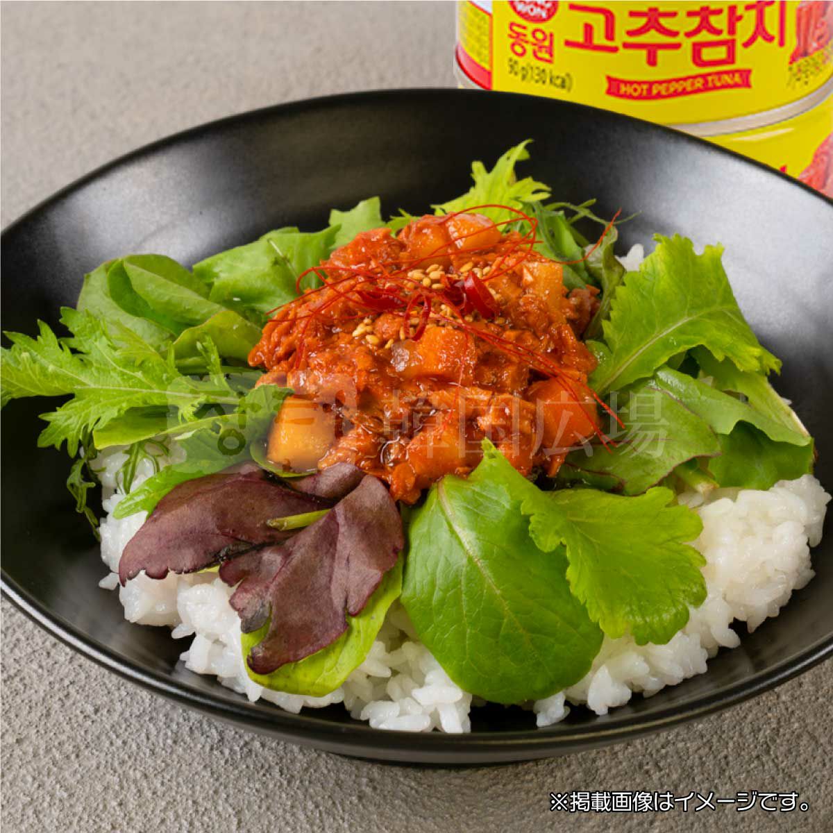 【東遠】ライトツナ (東遠 ツナ BTS JIN ライトツナ85g1缶+唐辛子ツナ3缶) / 20入