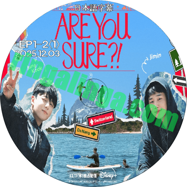 アイドル BTS DVD K-POP LAND】KPOP DVD 韓流グッズ 専門店 新大久保 KPOPDVD