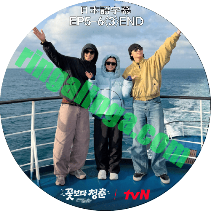 花より青春 DVD DVD 花より青春：Limited Edition EP5-6<3>END 日本語字幕 | DVD