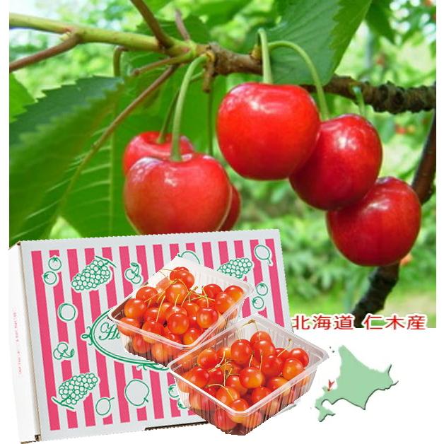 北海道　仁木産さくらんぼ 佐藤錦 約180ｇ×2(秀品M〜Lサイズ)<br>送料無料<br>2026年7月上旬頃順次発送予定<br>さくらんぼ