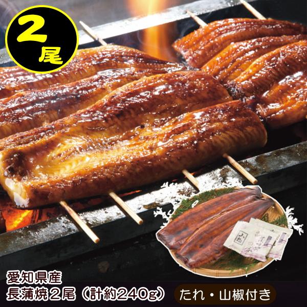 あつみ　愛知県産　うなぎ蒲焼（長焼）２尾<br>送料無料<br>受注後「約7～10日前後」発送予定<br>うなぎ　ウナギ　鰻