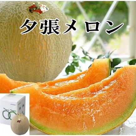 夕張メロン　優品（約1.6kg）×1玉<br>送料無料<br>2026年7月上旬頃順次発送予定<br>メロン　フルーツ　北海道　夕張