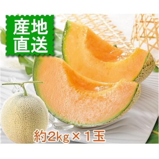 北海道富良野産 ふらの赤肉メロン 優品 約2kg 1玉<br>送料無料<br>2026年7月上旬頃順次発送予定<br>メロン フルーツ 北海道 富良野メロン ふらの