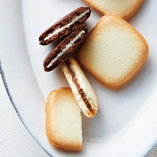 モロゾフ　オデットM