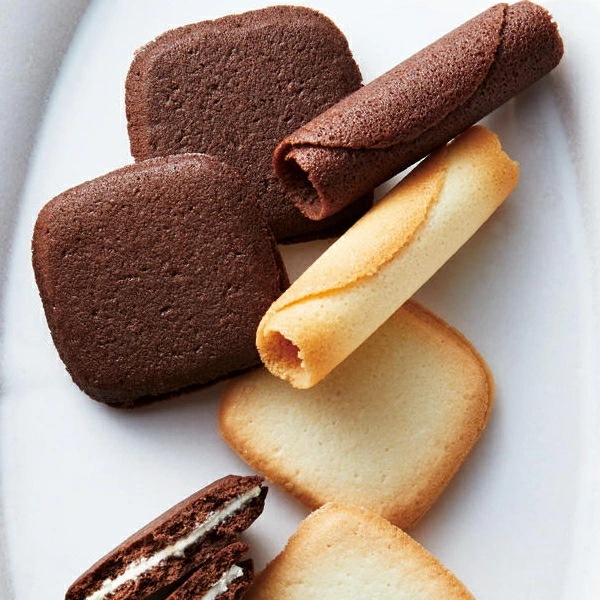 モロゾフ　オデットM