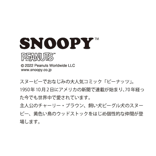 送料無料！ピーナッツ・snoopy-スヌーピー-<br>SEASON-シーズン-・トリオレンジセット