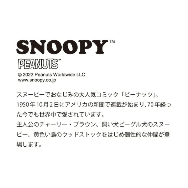 ピーナッツ　snoopy<b>【送料無料】</b><br>スヌーピー・木箱入ペア箸セット［シーズン］