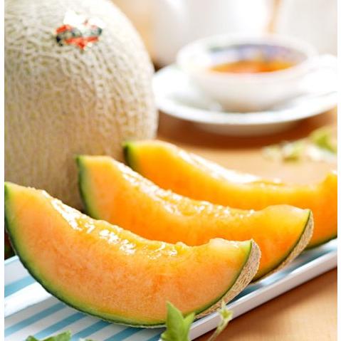 夕張メロン　優品（約1.3kg）×1玉<br>送料無料<br>2026年7月上旬頃順次発送予定<br>メロン　フルーツ　北海道　夕張