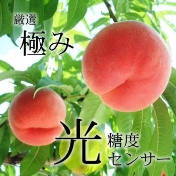 山梨県産　御坂の光センサー桃（１．３ｋｇ）<br>送料無料<br>2026年6月下旬頃順次発送予定<br>フルーツ　桃　モモ　もも