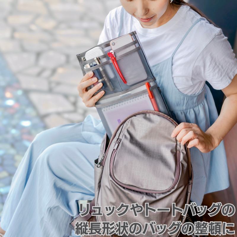 �Хå�����Хå��ʽġ�