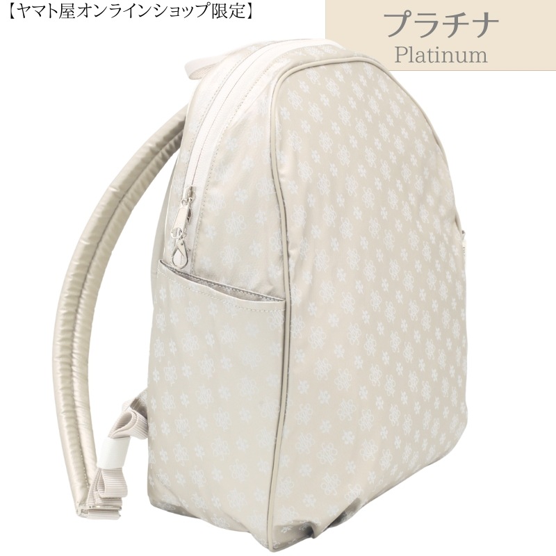 ���������ȸ����NV151 �饤�ȥ��å�FORMO�ʥե�����