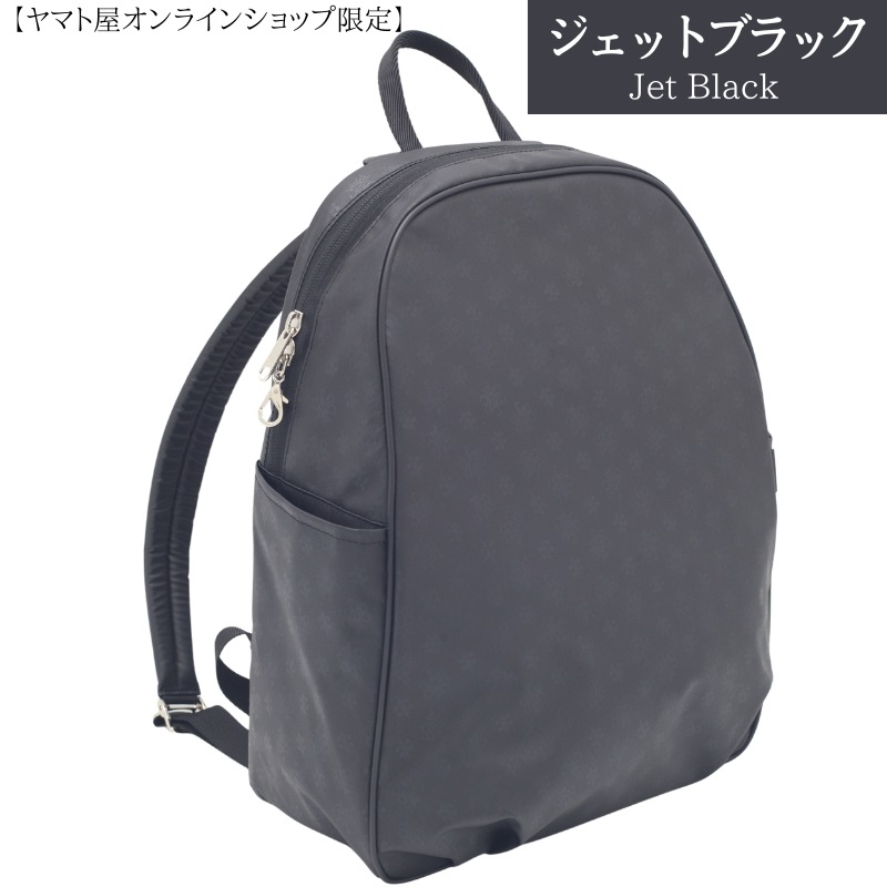 ���������ȸ����NV151 �饤�ȥ��å�FORMO�ʥե�����