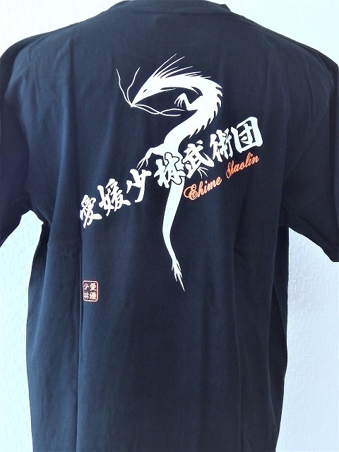 オリジナルTシャツ カンフー／少林寺／Tシャツ／練習用／龍／大人 
