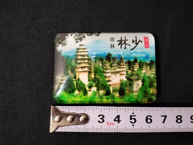 ���ӻ��ޥ��ͥåȡ������ӻ����ڻ��������ޥ��ͥåȡ�����