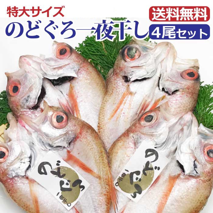 【特大のどぐろ一夜干しX4尾】