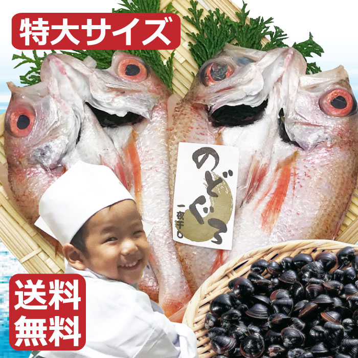 【特大のどぐろ一夜干しX2尾　宍道湖しじみX2袋】