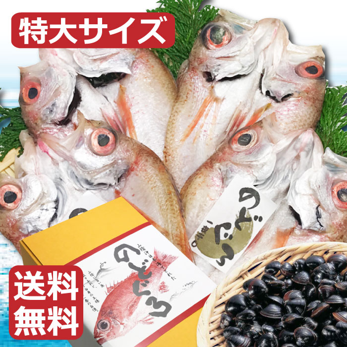 【特大のどぐろ一夜干しX4尾　宍道湖しじみX4袋】