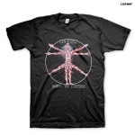 LEEWAY / リーウェイ - BTE Color Tシャツ(ブラック)