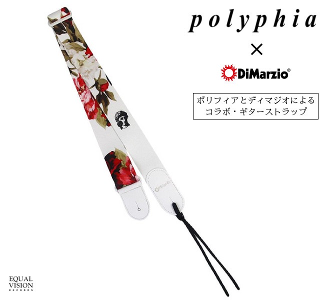 Polyphia/ݥե - DiMarzio Standard Rose ȥå(ۥ磻)