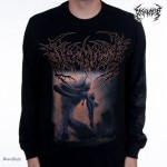 Disentomb / �ǥ�����ȥ����� - The Decaying Light ���󥰥��꡼��(�֥�å�)