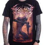 Disentomb / �ǥ�����ȥ����� - The Decaying Light T�����(�֥�å�)