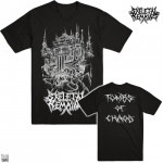 Skeletal Remains / ꥿롦ᥤ - TOMBS OF CHAOS T(֥å)