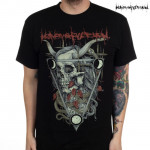 Heaven Shall Burn / �إ��󡦥���롦�С��� - Triangle Leaves T�����(�֥�å�)