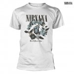 Nirvana / ˥ - HEART SHAPED BOX T(ۥ磻)