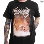 Disentomb / �ǥ�����ȥ����� - Broken Under T�����(�֥�å�)