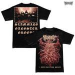 Peeling Flesh / �ԡ���󥰡��ե�å��� - 3 Year Peeling Spree T����� (�֥�å�)