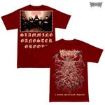 Peeling Flesh / �ԡ���󥰡��ե�å��� - 3 Year Peeling Spree T����� (�ɡ��ץ�å�)