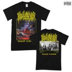 Blood Incantation / �֥�åɡ� ���󥫥�ơ������ - Absolute Elsewhere Album T�����(�֥�å�)