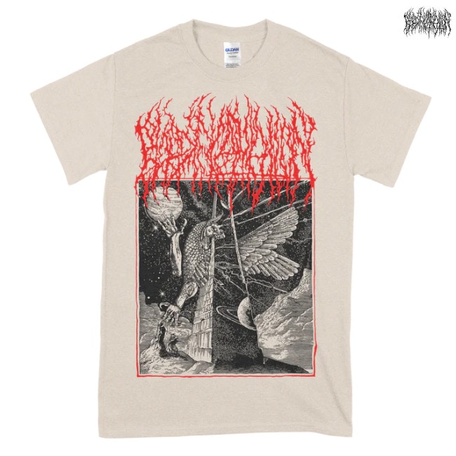 Blood Incantation / �֥�åɡ� ���󥫥�ơ������ - Entity T����� (�ʥ�����)