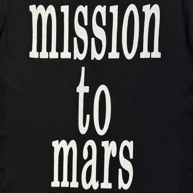Smashing Pumpkins / ���ޥå��󥰡��ѥ�ץ��� - Celestial Collage T�����(�֥�å�)