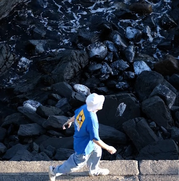 ��¨Ǽ��Revelation Records / ������졼����󡦥쥳���� - CLASSIC SUMMER T�����(�֥롼)