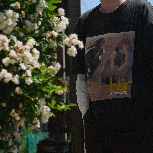 ��¨Ǽ��Blur / �֥顼 - Parklife Album T����� (���꡼��)