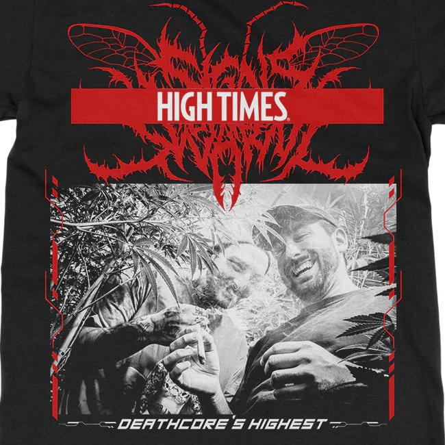 Signs of the Swarm / 󥺡֡ - High Times T(֥å)