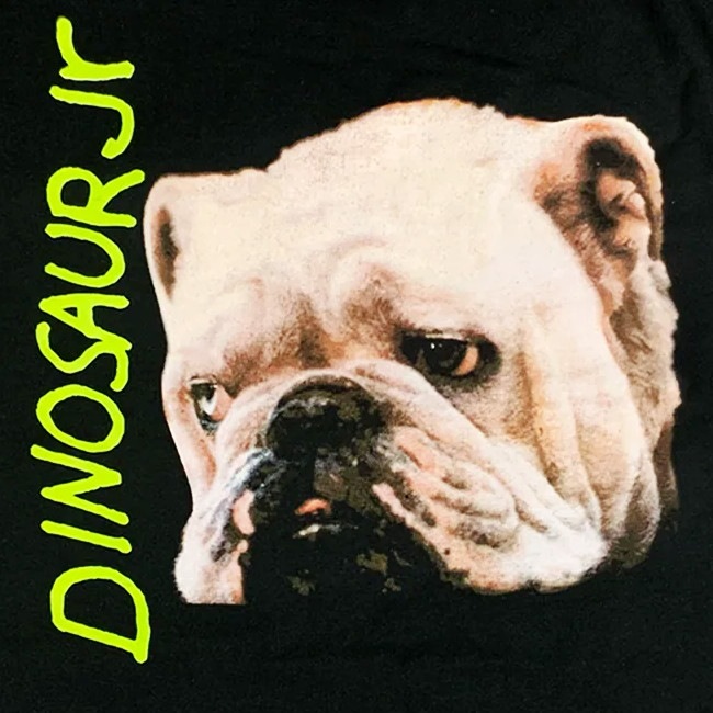 Dinosaur Jr. / ʥ˥ - Whatever is Cool With Me T(֥å)