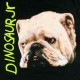 Dinosaur Jr. / ʥ˥ - Whatever is Cool With Me T(֥å)