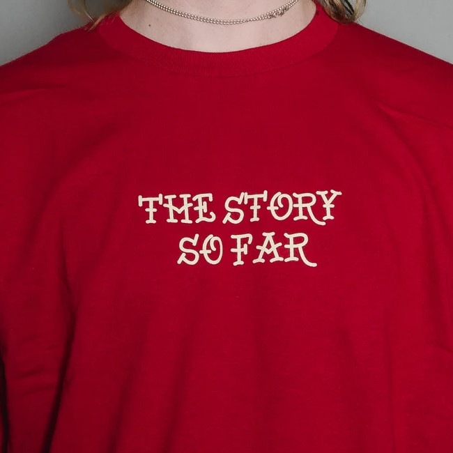 The Story so Far / ���ȡ��꡼���������ե���- Skull Panther ���󥰥��꡼�֥���� (�����ܥ꡼) 