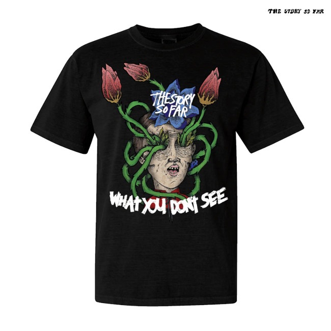 The Story so Far / ���ȡ��꡼���������ե���- What You Don't See T����� (�֥�å�) 