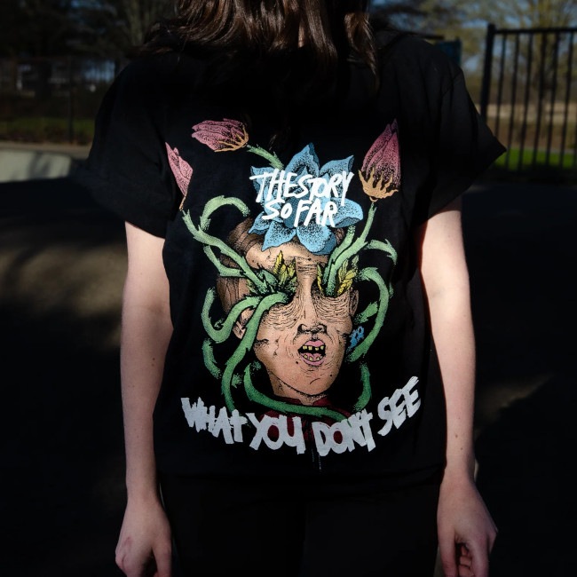 The Story so Far / ���ȡ��꡼���������ե���- What You Don't See T����� (�֥�å�) 