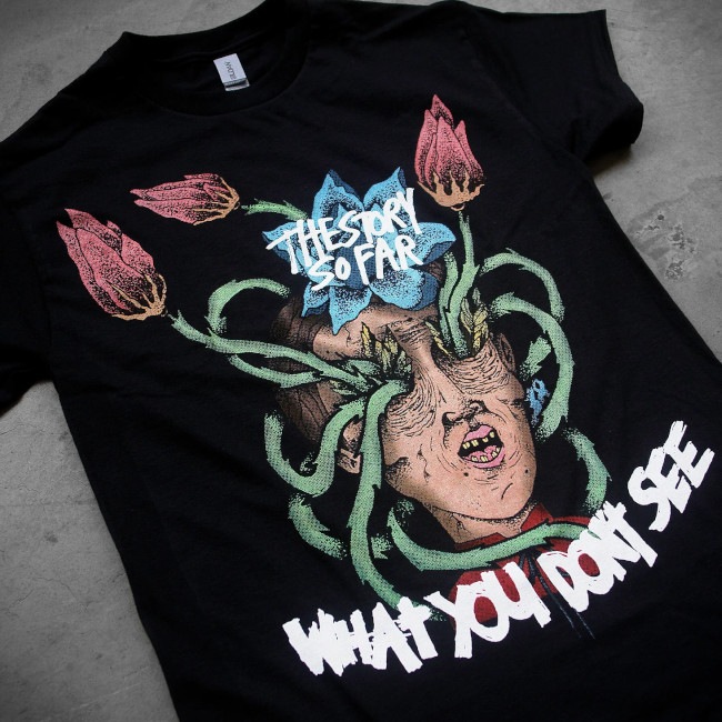 The Story so Far / ���ȡ��꡼���������ե���- What You Don't See T����� (�֥�å�) 