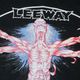 ��¨Ǽ��LEEWAY / �꡼������ - BTE Color T�����(�֥�å�)