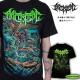 Archspire/ ѥ - Lab Monsters Glowָ T(֥å)