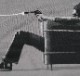 ��¨Ǽ��Rage Against the Machine / �쥤�����������󥹥ȡ������ޥ����� - WON'T DO T�����(���졼)