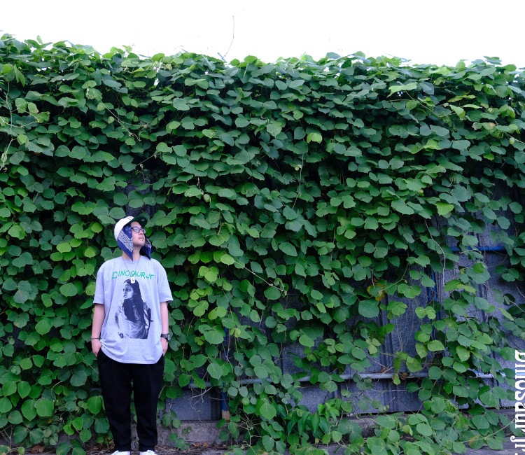 ��¨Ǽ��Dinosaur Jr. / �����ʥ���������˥� - Green Mind T�����(���졼)