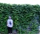 ��¨Ǽ��Dinosaur Jr. / �����ʥ���������˥� - Green Mind T�����(���졼)