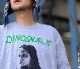 ��¨Ǽ��Dinosaur Jr. / �����ʥ���������˥� - Green Mind T�����(���졼)